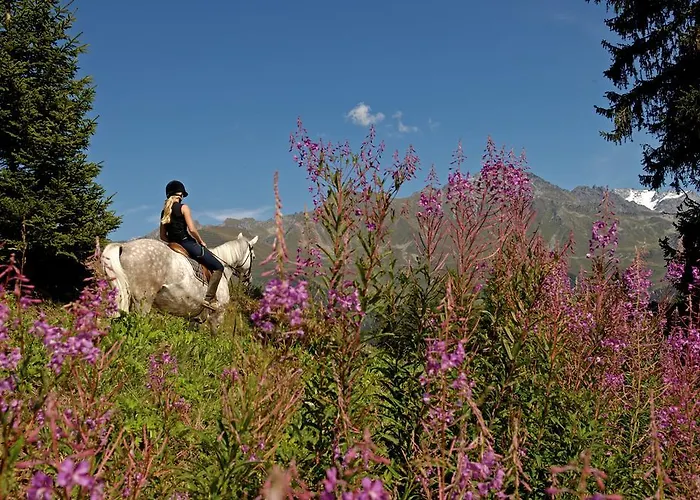 Διαμέρισμα Hurlebise 8 *